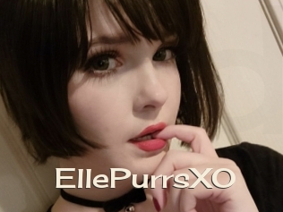 EllePurrsXO