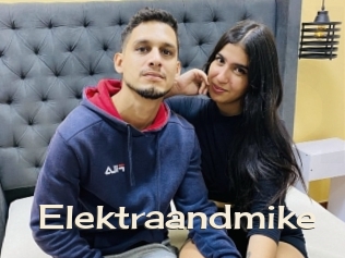 Elektraandmike