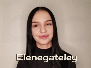 Elenegateley