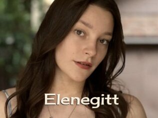 Elenegitt