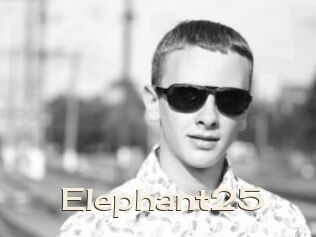 Elephant25