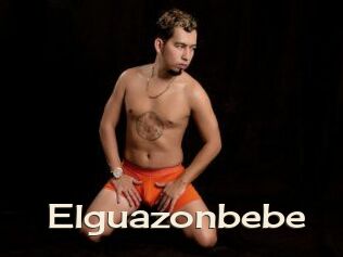 Elguazonbebe
