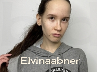 Elvinaabner