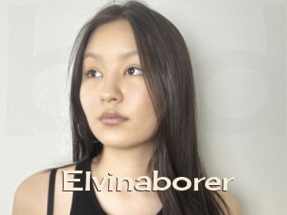 Elvinaborer