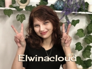 Elwinacloud