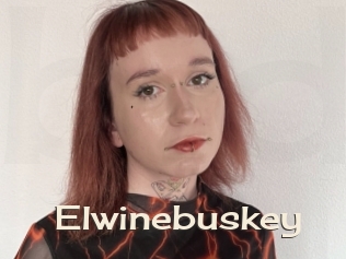 Elwinebuskey