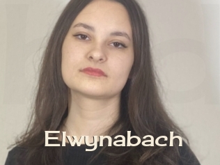 Elwynabach