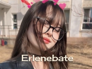 Erlenebate