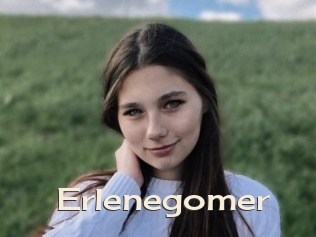 Erlenegomer