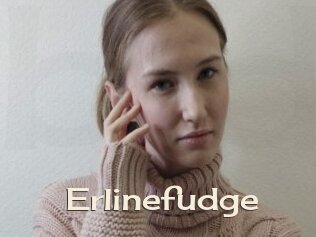 Erlinefudge