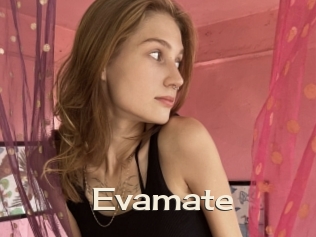 Evamate