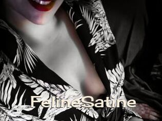FelineSatine
