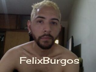 FelixBurgos