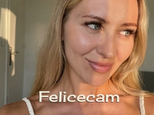 Felicecam