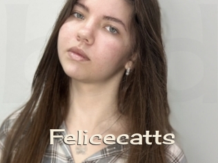 Felicecatts