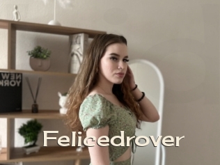 Felicedrover