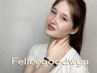 Felicegoodwyn