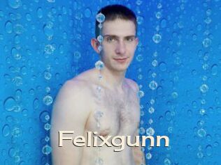 Felixgunn