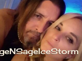 GageNSageIceStorm