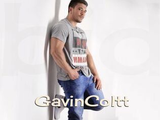 GavinColtt