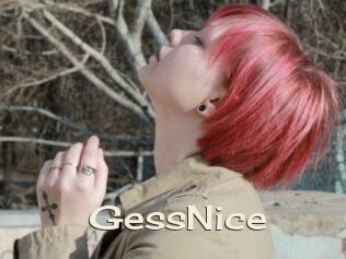 GessNice