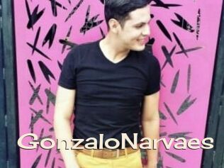 GonzaloNarvaes
