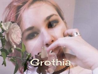 Grothia