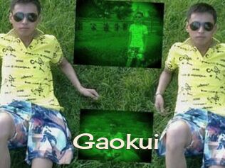Gaokui