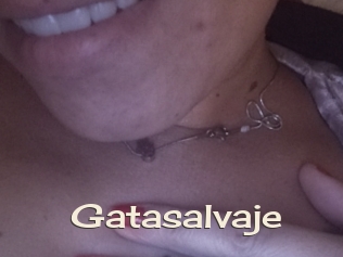 Gatasalvaje