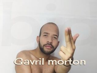 Gavril_morton