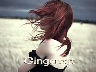Gingercat