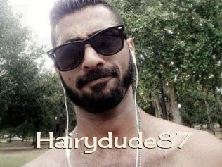 Hairydude87