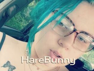 HareBunny