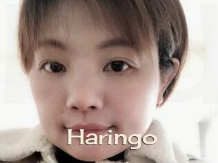 Haringo