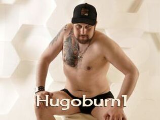 Hugoburn1