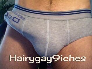 Hairygay9iches