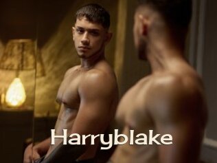Harryblake