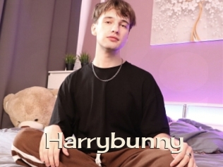Harrybunny