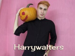 Harrywalters
