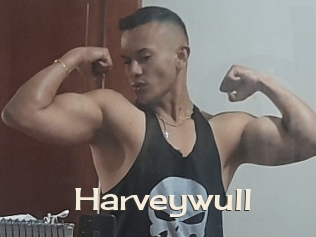Harveywull