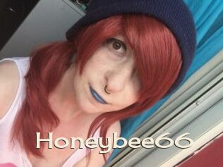 Honeybee66