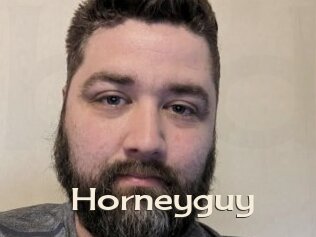 Horneyguy