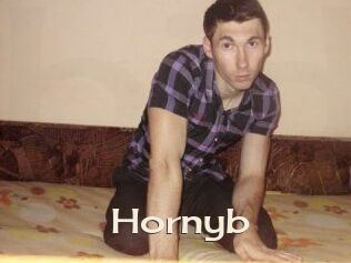 Hornyb