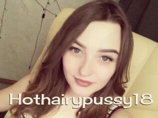 Hothairypussy18