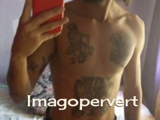 Imagopervert