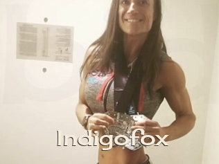 Indigofox