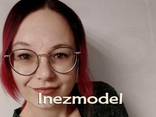 Inezmodel