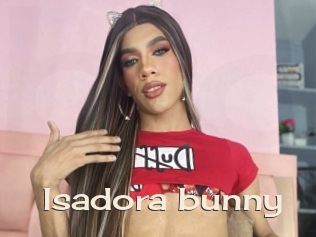 Isadora_bunny