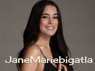 JaneMariebigatla
