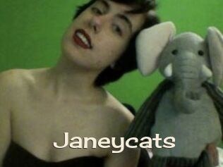 Janeycats